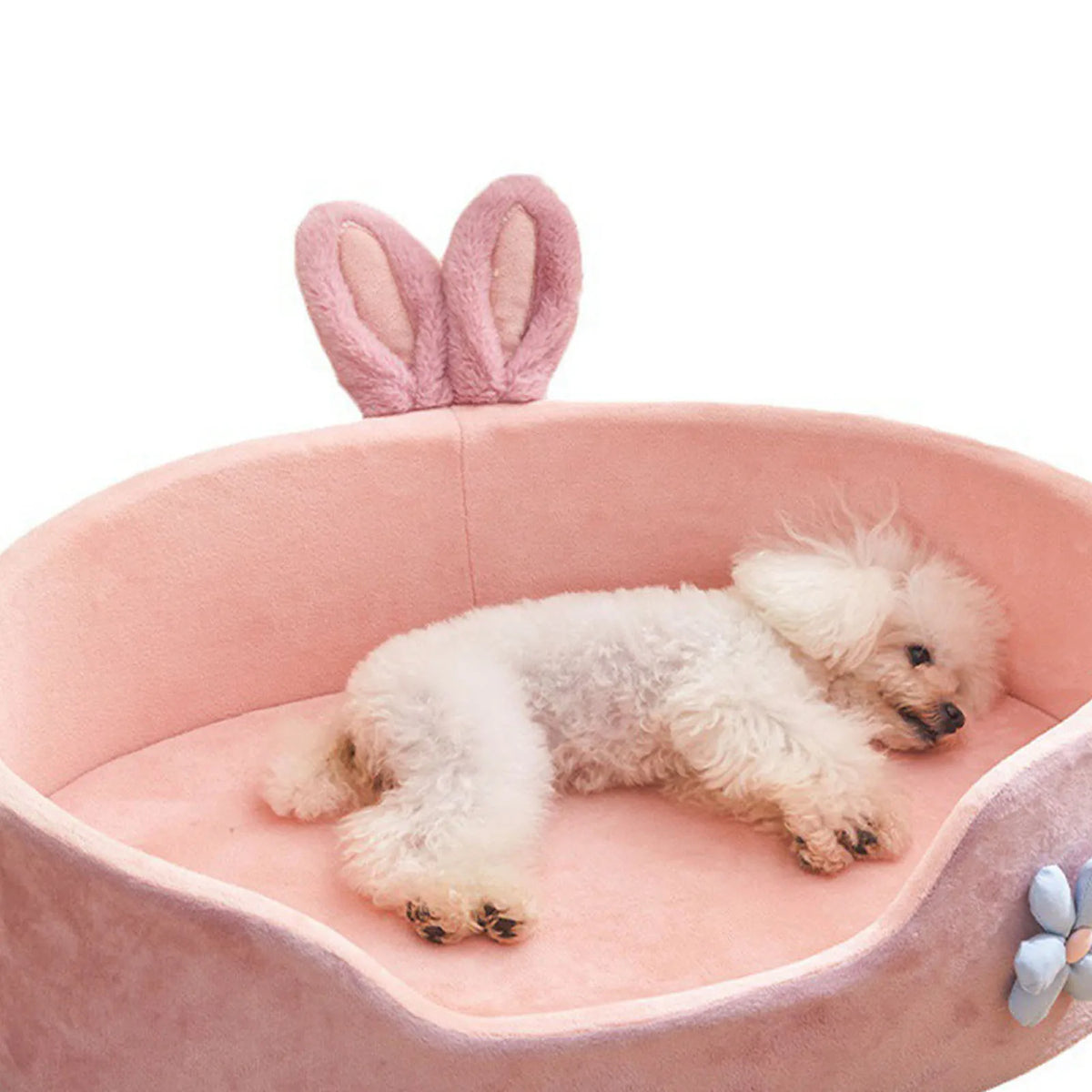 Pet Bed with Removable Washable Cover