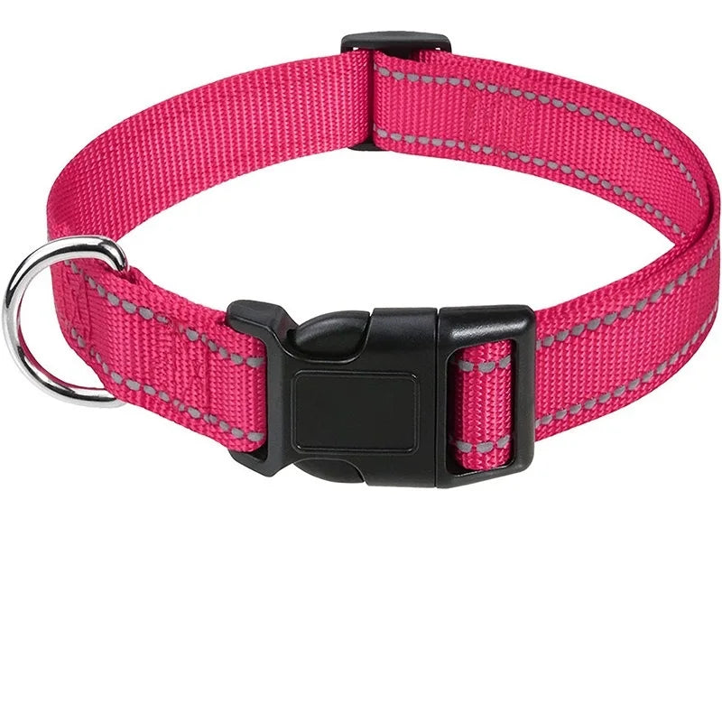 Everyday Nylon Dog Collar