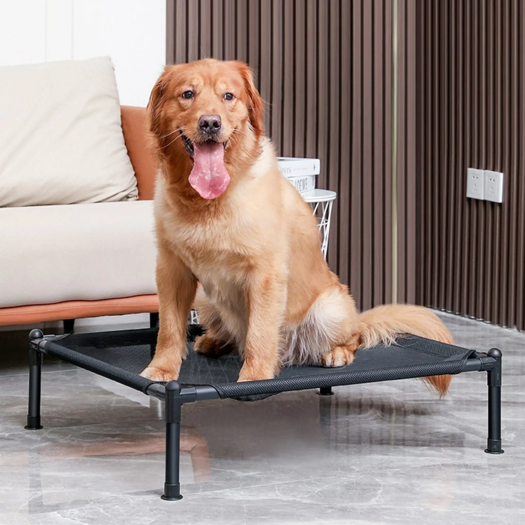 Elevated Folding Pet Camping Bed