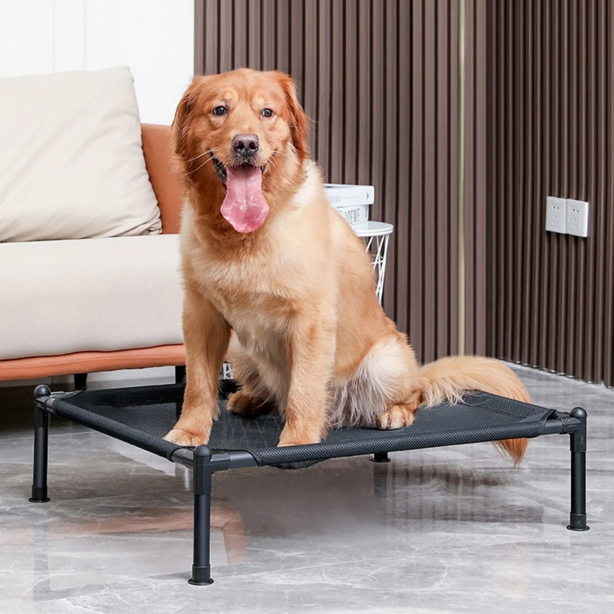 Elevated Folding Pet Camping Bed