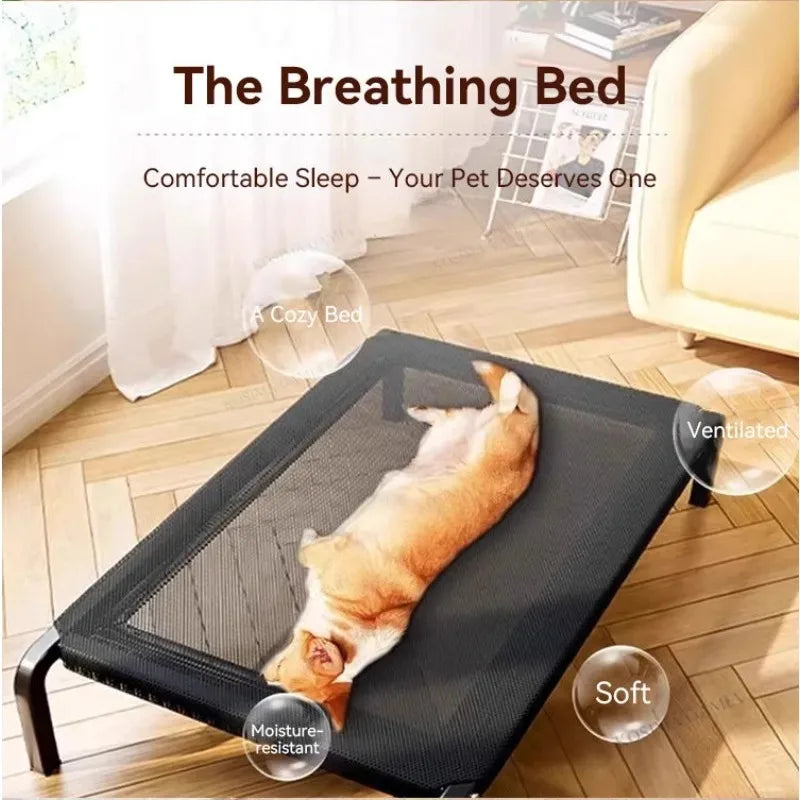 Raised Dog Bed with Breathable Mesh Cover