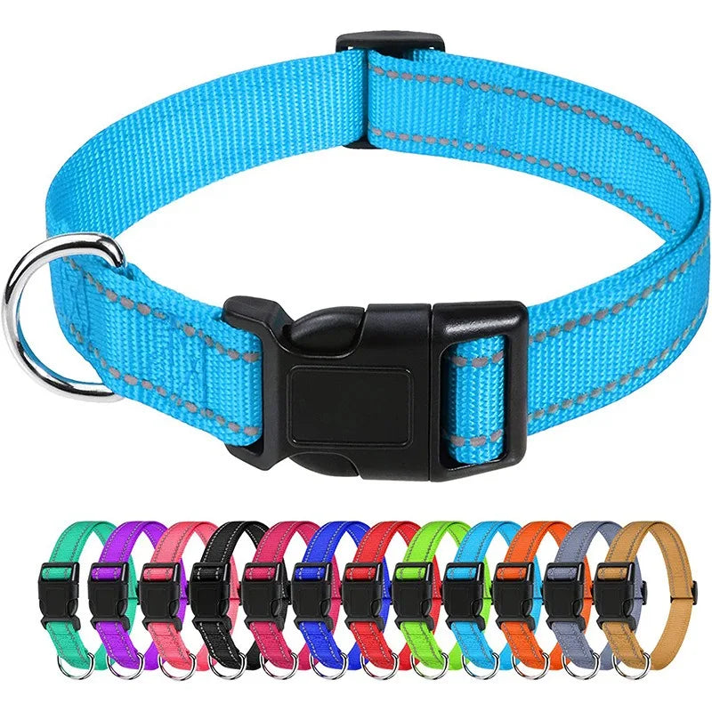 Everyday Nylon Dog Collar