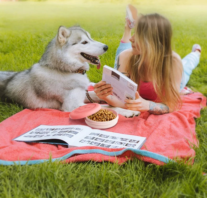 2-in-1 Travel Pet Bowl with Treat Compartment