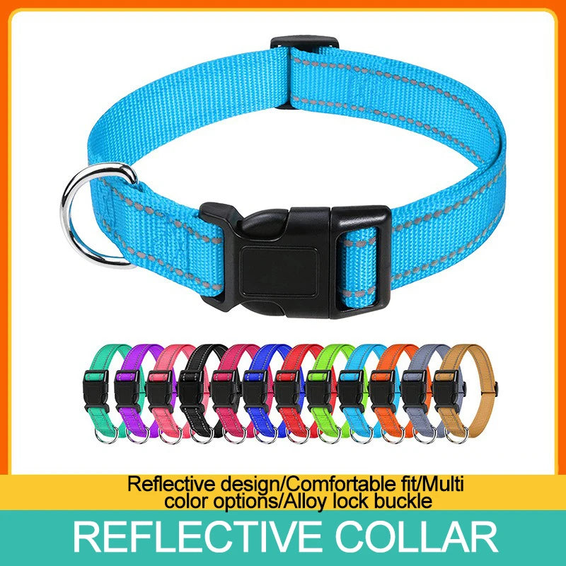 Everyday Nylon Dog Collar