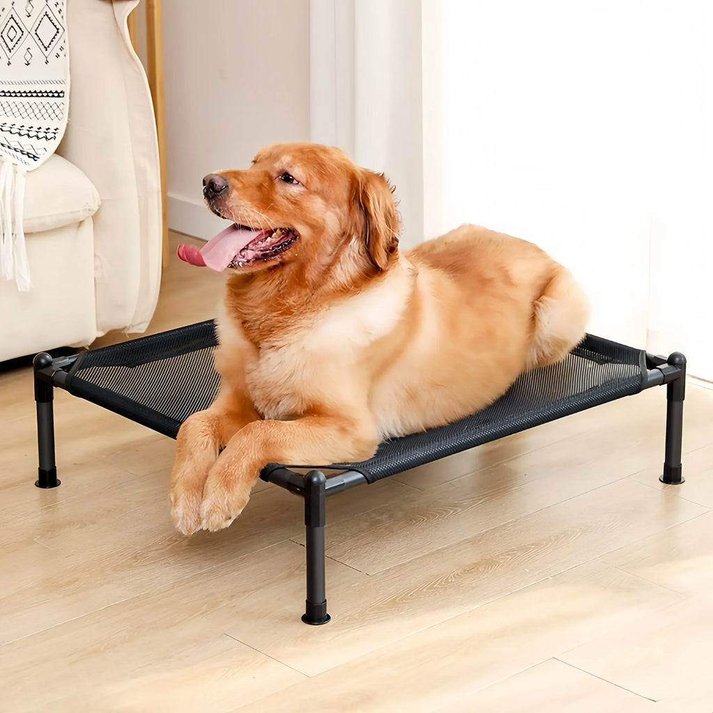 Elevated Folding Pet Camping Bed