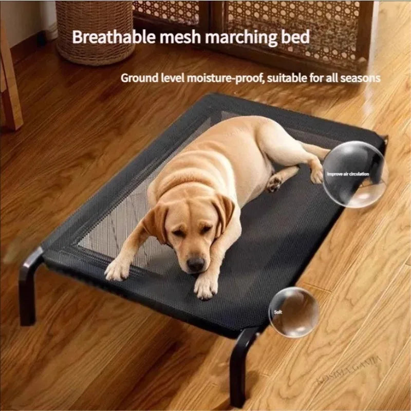 Raised Dog Bed with Breathable Mesh Cover