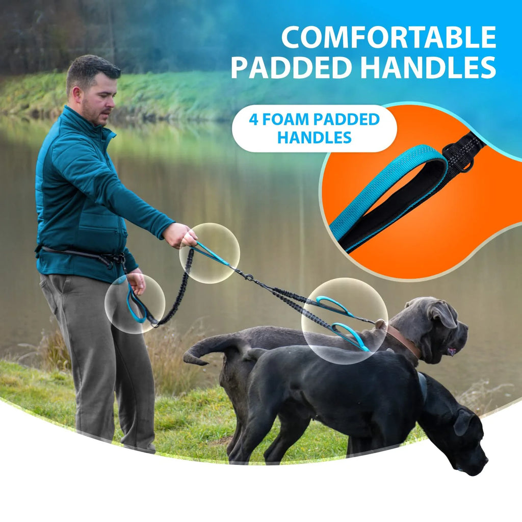 Hands-Free Double Dog Lead with Padded Handles