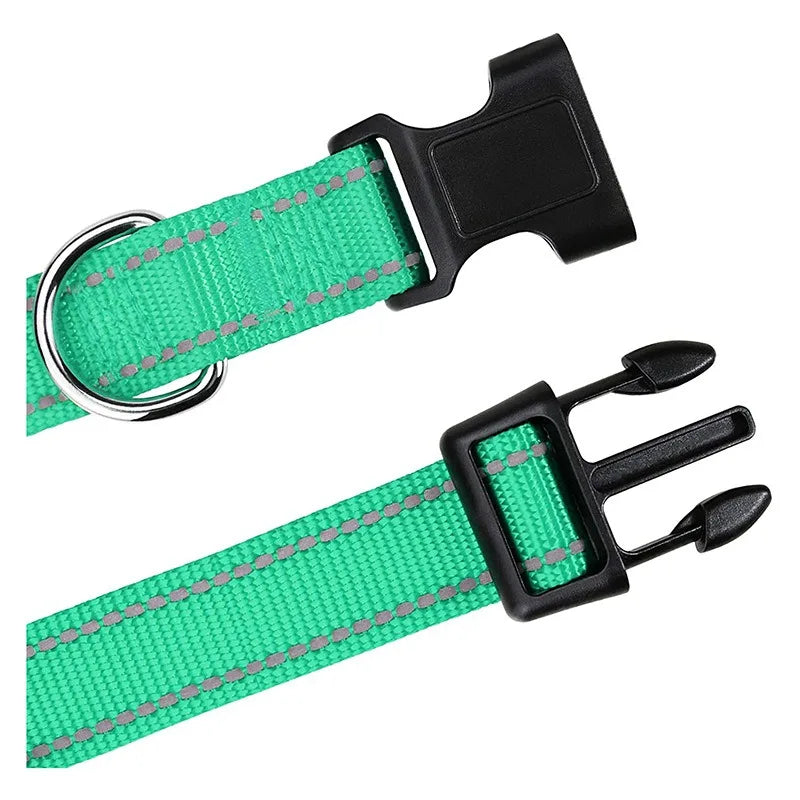 Everyday Nylon Dog Collar