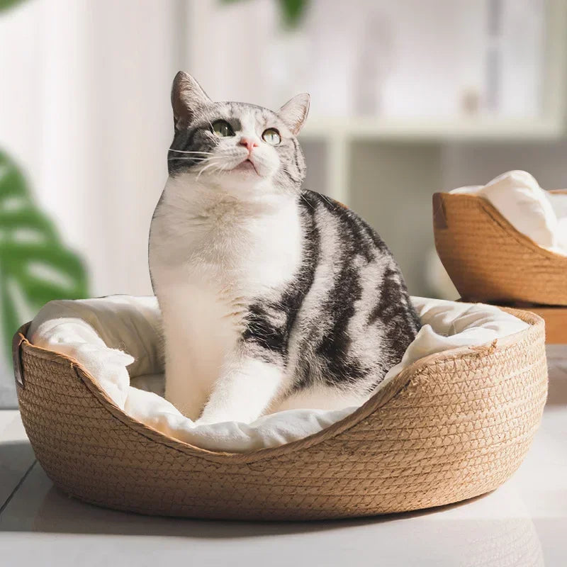 Handwoven Pet Basket Bed with Cushion