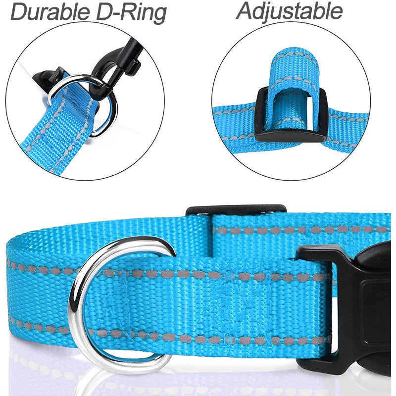 Everyday Nylon Dog Collar
