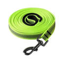 Everyday Nylon Dog Leash