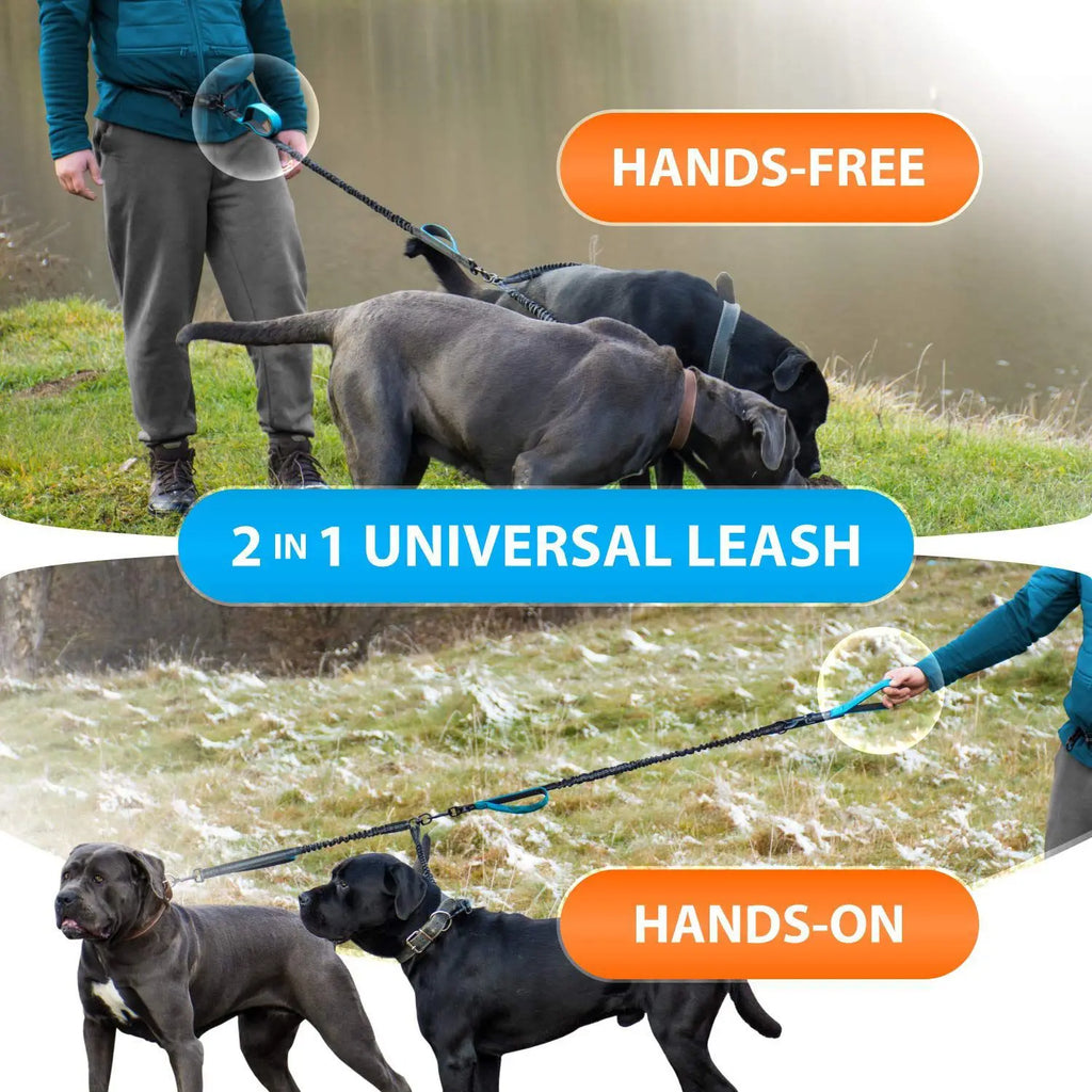 Hands-Free Double Dog Lead with Padded Handles