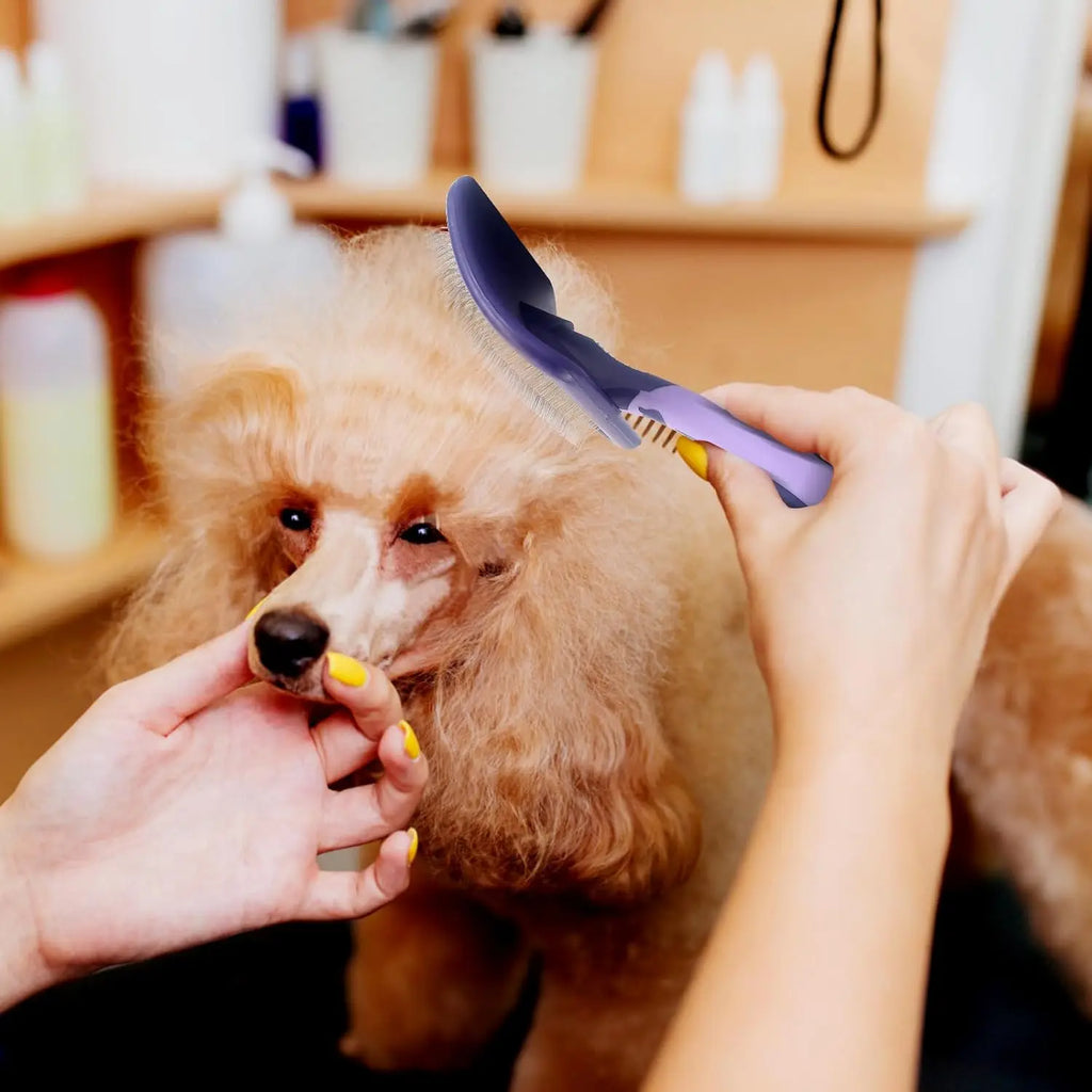 Dog Grooming Brush for Detangling